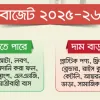 বাজেটে বাড়তে-কমতে পারে যেসব পণ্যের দাম