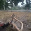 দেশের উত্তরাঞ্চলের জলবায়ু পরিবর্তন