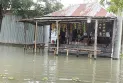 তিস্তার পানি কমলেও দুর্ভোগ কমেনি প্লাবিত অঞ্চলের মানুষজনের