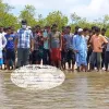 পঞ্চগড় সীমান্তে যুবকের গুলিবিদ্ধ মরদেহ উদ্ধার