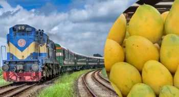 এবারও চলবে দুটি ম্যাংগো স্পেশাল ট্রেন