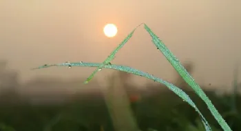 চলতি মাসেই নামতে পারে শীত