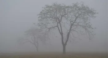 প্রায় ৩ ডিগ্রি তাপমাত্রা কমেছে, বাড়ছে কুয়াশা