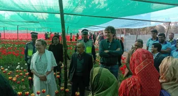 তেঁতুলিয়ার টিউলিপ বাগানে ডেনমার্কের রাষ্ট্রদূত
