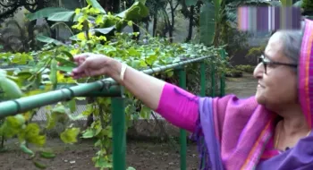 গণভবনকে 'খামারবাড়িতে' পরিণত করেছেন প্রধানমন্ত্রী