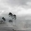 ৯ জেলায় ঝড়বৃষ্টির পূর্বাভাস, হতে পারে শিলাবৃষ্টি