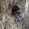 দিনাজপুরে যুবকের মরদেহ উদ্ধার
