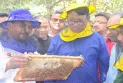 দিনাজপুরে লিচু বাগানে ১২'শ কোটি টাকার  মধু আহরণের সম্ভাবনা