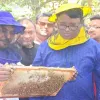 দিনাজপুরে লিচু বাগানে ১২'শ কোটি টাকার  মধু আহরণের সম্ভাবনা