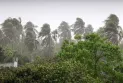 ১১ জেলায় ৮০ কিমি বেগে ঝড়-বৃষ্টির পূর্বাভাস