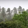 ১১ জেলায় ৮০ কিমি বেগে ঝড়-বৃষ্টির পূর্বাভাস