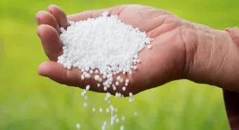 সব ধরনের সারের দাম বাড়লো কেজিতে ৫ টাকা