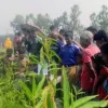 লালমনিরহাটে পাটক্ষেতে পড়েছিল অজ্ঞাত নারী, পানি খাওয়ার কিছুক্ষণ পর হলো নিথর