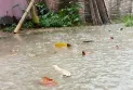 রংপুরে হঠাৎ বৃষ্টিতে জনজীবন স্বস্তি