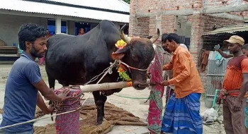 ঠাকুরগাঁওয়ের “বিগবসের” সঙ্গে মোটরসাইকেল ফ্রি