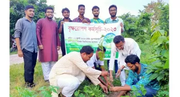 বেরোবিতে ইয়ুথ জার্নালিস্টস ফোরামের বৃক্ষরোপণ কর্মসূচি