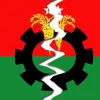 তাহলে কি ভাঙছে বিএনপি?