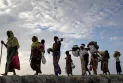 শেখ হাসিনা সেদিন সীমান্ত খুলে না দিলে কী হতো!