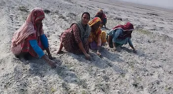 তিস্তার চরে আয়ের পথ খুলেছে অনেক নারী পুরুষের