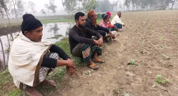 ডাঙ্গোয়ালদের ভয়ে সীমান্তে ফসল রক্ষার রাত জেগে পাহারা দিচ্ছেন কৃষকরা