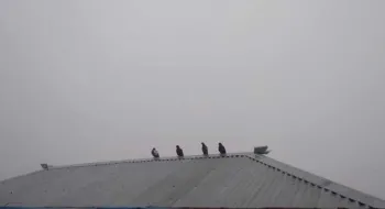 কুড়িগ্রামে শীতের দাপট, তাপমাত্রা নেমেছে ১১ ডিগ্রিতে