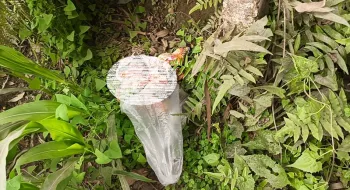 লালমনিরহাটে ভুট্টা ক্ষেতে মিলল নবজাতকের মরদেহ