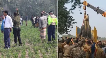 অবশেষে ভারতীয় বন বিভাগের সহায়তায় নিজ দেশে দুই হাতি