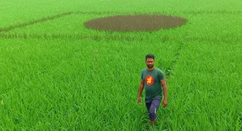 কুড়িগ্রামে শস্যচিত্রে জাতীয় পতাকা, প্রশংসায় ভাসছেন শিক্ষক