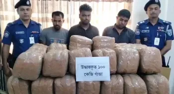 দিনাজপুরে ড্রামট্রাকে একশত কেজি গাঁজাসহ ৩ জন মাদক ব্যবসায়ীকে আটক 