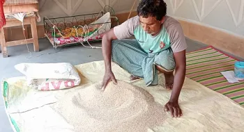 ভাইরাল সঞ্জু উদ্ভাবক নয়,আদিবাসীদের বংশ পরম্পরায় মজাদার খাবার বাঁশ বীজ