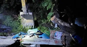 রাজশাহীতে গাছচাপায় নিহত ২