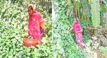 সরকারের জাতীয় পুষ্টি পরিকল্পনা (জানো) বদলে দিচ্ছে গ্রামীন মানুষের জীবনমান