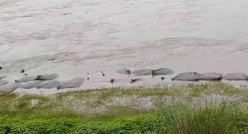 তিস্তা ব্যারেজর বাঁধে ধস, নদীর গতিপথ উল্টো দিকে যাওয়ার সম্ভবনা