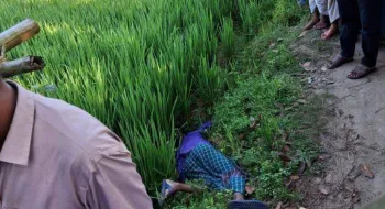 লালমনিরহাটে আগেরদিন নিখোঁজ, পরেরদিন ধান ক্ষেত থেকে বৃদ্ধের মরদেহ উদ্ধার