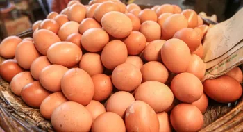 ডিমের কাম্য দাম: খামারি ও ক্রেতার
