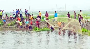 ঠাকুরগাঁওয়ে তিন দিনব্যাপী মাছ ধরা উৎসব