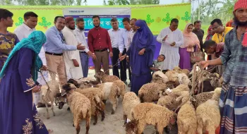ফ্রেন্ডশিপ প্রোজেক্টের আয় বৃদ্ধিমূলক কর্মকান্ডে বদলে যাচ্ছে কুড়িগ্রামের চরবাসীর জীবনমান