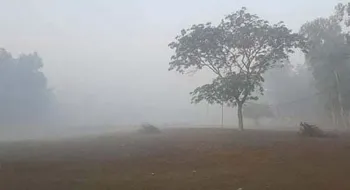 শীতে কাঁপছে পঞ্চগড়, তাপমাত্রা নেমেছে ১১.৪ ডিগ্রিতে