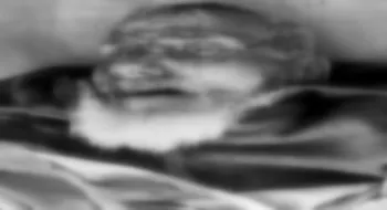 পিকআপের ধাক্কায় প্লাইউড কারখানার শ্রমিক নিহত