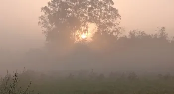 ৩ ডিগ্রিতে নামতে পারে তাপমাত্রা