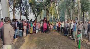 গাছে ঝুলে ছিলো দুই সন্তানের জননী গৃহবধুর মরদেহ