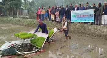 ফুলবাড়ীতে রাইস ট্রান্সপ্লান্টারের মাধ্যমে বোরো ধানের চারা রোপনের উদ্বোধন