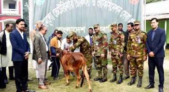 কুড়িগ্রামে সেনাবাহিনীর আয়োজনে দিনব্যাপী গবাদি পশু ও পাখির ফ্রি মেডিকেল ক্যাম্প
