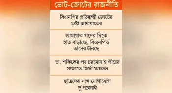 জামায়াতের বড়শি, বিএনপির জাল