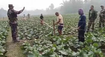 দহগ্রাম সীমান্তে আবারও বিএসএফের তৎপরতা