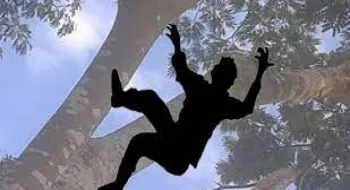 ডিমলায় গাছ থেকে পড়ে যুবকের মৃত্যু