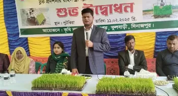 ফুলবাড়ীতে ট্রান্সপ্লান্টার যন্ত্রের মাধ্যমে চারা রোপন উদ্বোধন
