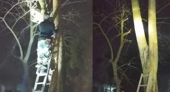 শূন্যরেখায় স্থাপিত সিসি ক্যামেরাটি খুলে নিল বিএসএফ