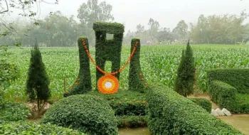 গাছ ও ফুলের তৈরি শহীদ মিনারে শ্রদ্ধা