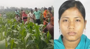 রংপুরে ভুট্টাক্ষেতে মুখমণ্ডল পোড়া নারীর লাশ; মিলেছে পরিচয়